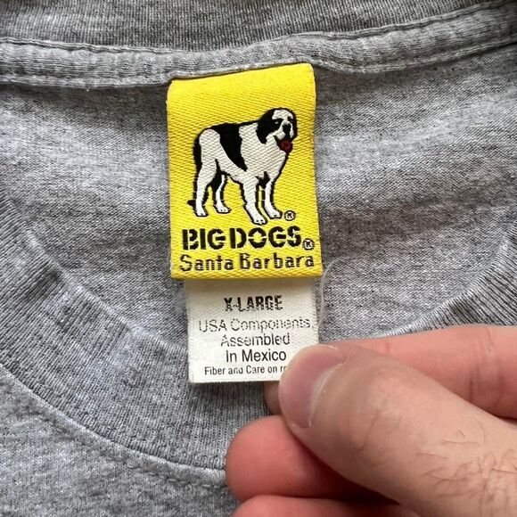 Grey Big Dogs T-Shirt - Picture 5 of 5
